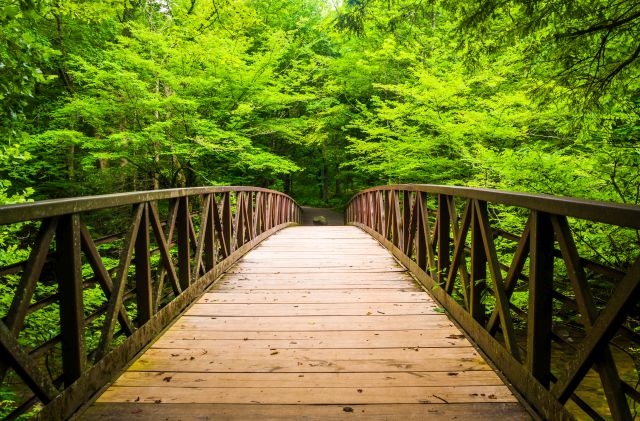 Walking bridge over a stream, at Great Smoky Mountains National Park, Tennessee.